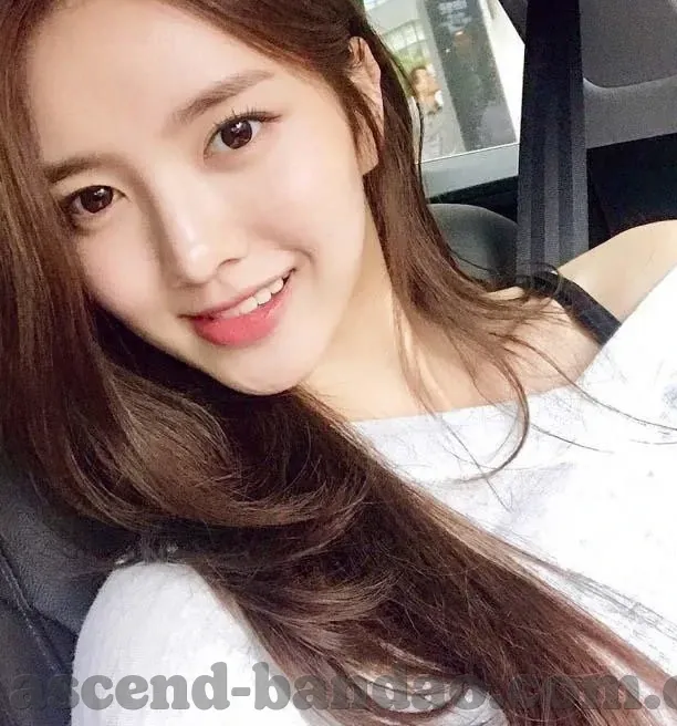 杏彩登录地址-杏彩登录地址，探索数字娱乐的新境界
