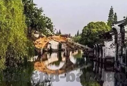 足球比分 数据-足球比分数据，解码绿茵场背后的数字密码